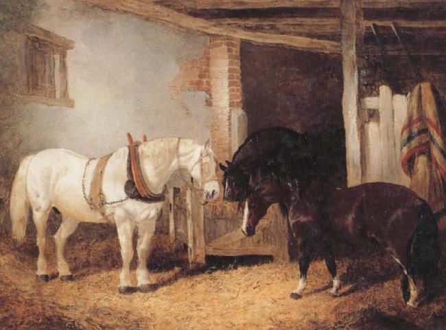 John Frederick Herring Three Horses in A stable,Feeding From a Manger Spain oil painting art